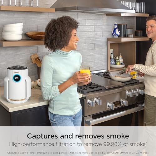 Air Purifier for Home Large Room, HEPA Filter, Covers 650 Sq. Ft, Removes Dust & Allergens P98966
