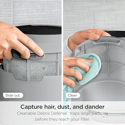 Air Purifier for Home Large Room, HEPA Filter, Covers 650 Sq. Ft, Removes Dust & Allergens P98966
