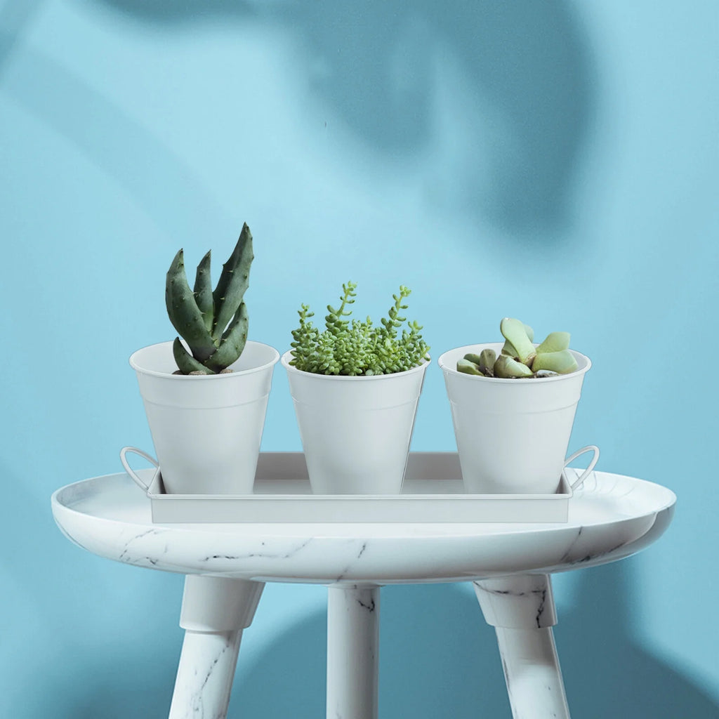 Garden Flower Pot with Tray, 6 Pack V65717