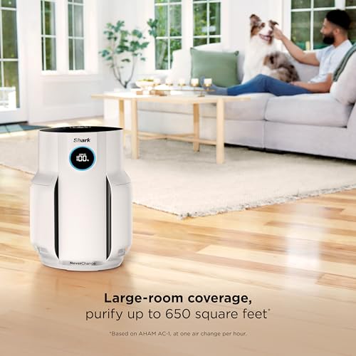 Air Purifier for Home Large Room, HEPA Filter, Covers 650 Sq. Ft, Removes Dust & Allergens P98966