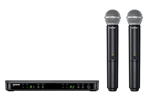 Wireless Microphone System with Dual Handheld Mics Y410