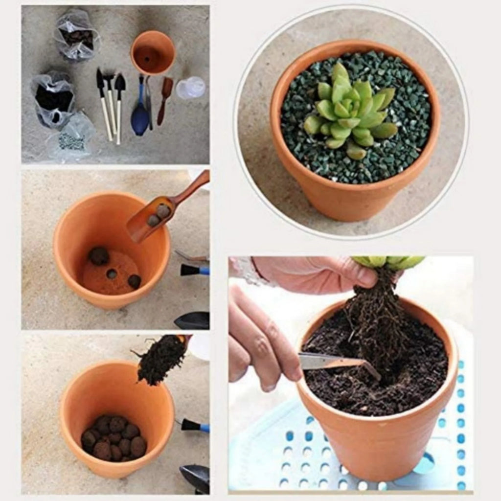 3 Inch Terracotta Pots with Saucer, 4 Pack for Succulent Display F4914