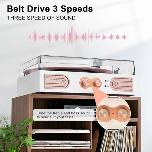 Vinyl Record Player with Built-in Speakers, 3-Speed Turntable M2824