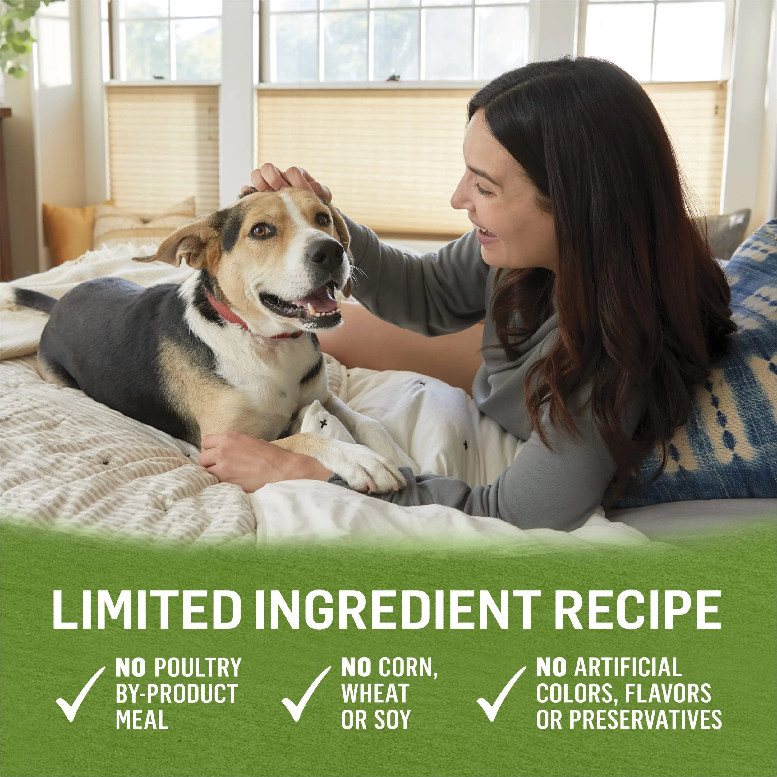 Immune Health Wet Dog Food Chicken Lamb Spinach, 13 oz Cans (12 Pack) I269230