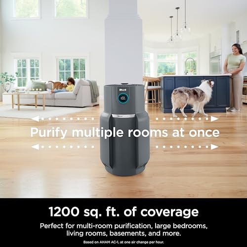 Air Purifier for Home Large Room, HEPA Filter, Covers 650 Sq. Ft, Removes Dust & Allergens P98966