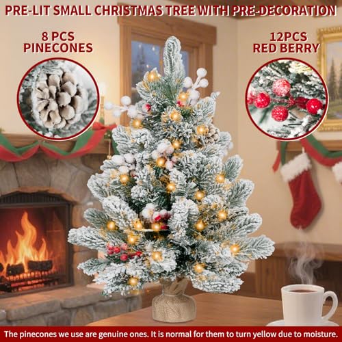 2FT Pre-lit Snow Flocked Tabletop Christmas Tree with LED Lights M619