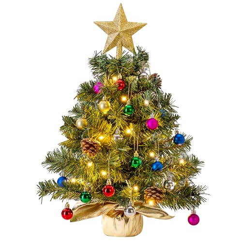 24" Mini Christmas Tree Tabletop Set with LED Lights and Star Treetop Z113832