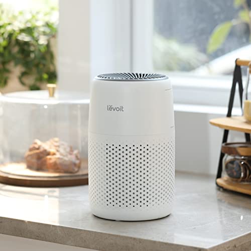 Air Purifier for Bedroom Home, 3-in-1 Filter Cleaner with Fragrance Sponge, Filters Smoke, Allergies, Pet Dander, Odor, Dust, Portable T545