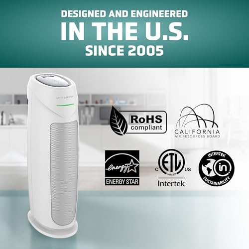 Air Purifier with HEPA Filter for Large Rooms, Removes Smoke, Pet Dander, Pollen, and Odors T1048
