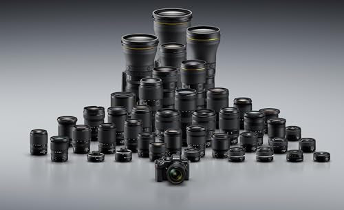 Mirrorless Camera Body T7361