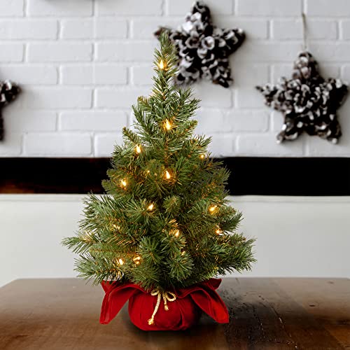 24 in Pre-Lit Mini Artificial Christmas Tree with 35 Clear Lights R420697