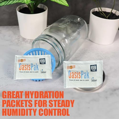 Two-Way Humidity Packs for Storage, 67g, 69% RH (Pack of 4) Y951671