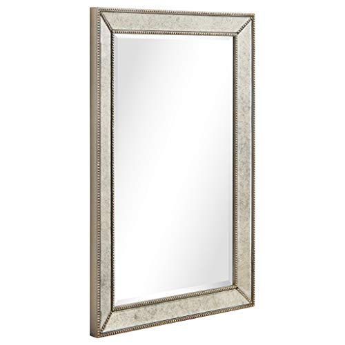 Antique Wall Mirror for Bathroom, Bedroom, Living Room, Ready to Hang, 24" x 54" D519