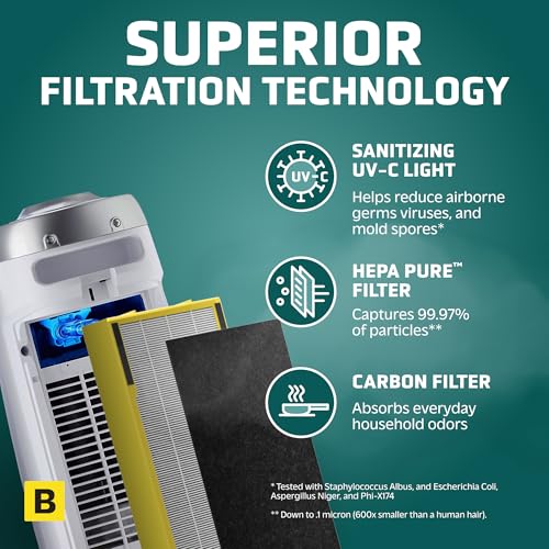 Air Purifier with HEPA Filter for Large Rooms, Removes Smoke, Pet Dander, Pollen, and Odors T1048