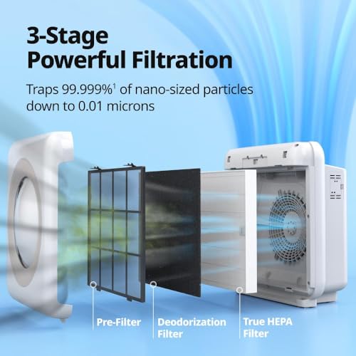 True HEPA Air Purifier with Air Quality Monitoring and Auto Mode R22121