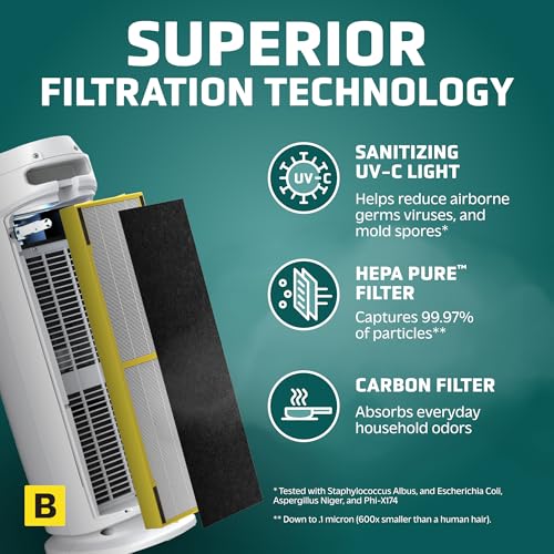 Air Purifier with HEPA Filter for Large Rooms, Removes Smoke, Pet Dander, Pollen, and Odors T1048