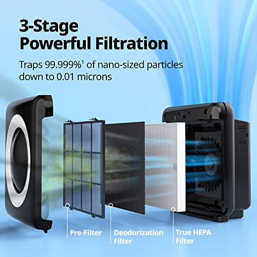 True HEPA Air Purifier with Air Quality Monitoring and Auto Mode R22121
