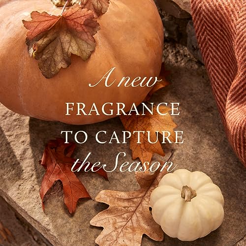 Scented Candles in Tin with Gold Lid - Crisp Fir, Cedarwood & Sandalwood B721287