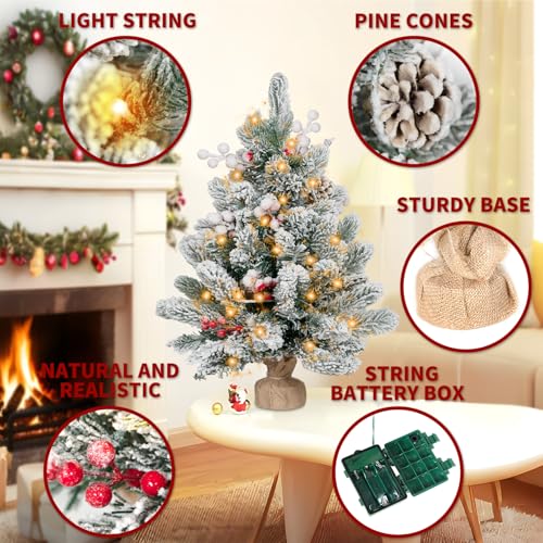 Flocked Artificial Mini Christmas Tree with Lights, Tabletop Decor W784363