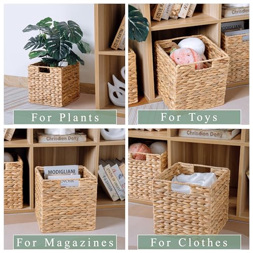 Water Hyacinth Storage Baskets for Cube Storage, Set of 3 F86967