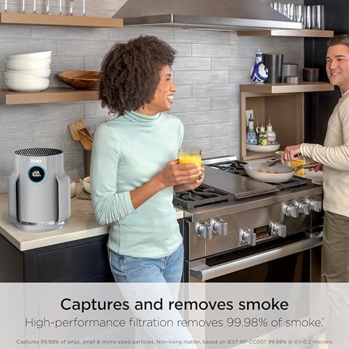 Air Purifier for Home Large Room, HEPA Filter, Covers 650 Sq. Ft, Removes Dust & Allergens P98966