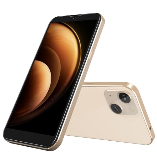 Unlocked 4G LTE Android Phone 6.0" 16GB Dual SIM J989