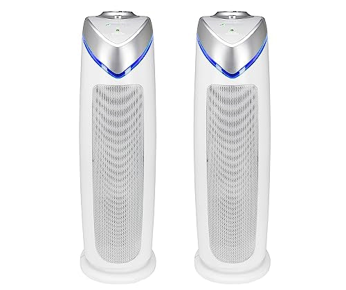 Air Purifier with HEPA Filter for Large Rooms, Removes Smoke, Pet Dander, Pollen, and Odors T1048