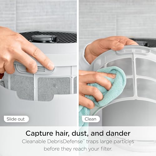 Air Purifier for Home Large Room, HEPA Filter, Covers 650 Sq. Ft, Removes Dust & Allergens P98966