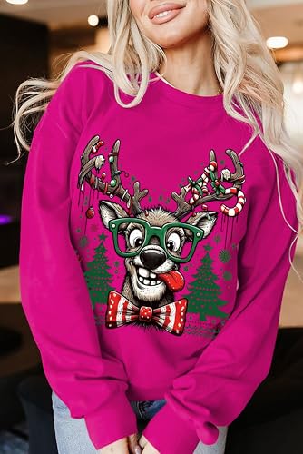 Funny Reindeer Christmas Sweatshirt Oversized Pullover K664011