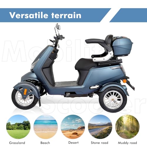 Heavy Duty 4 Wheel Mobility Scooter for Adults, All Terrain with Seat and Remote Control Y2407