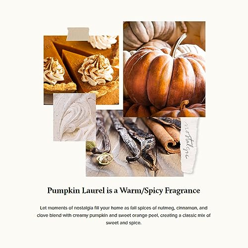 Scented Candles in Tin with Gold Lid - Crisp Fir, Cedarwood & Sandalwood B721287