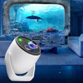 Outdoor Garden Laser Lights Projector, Red Green Blue W601936