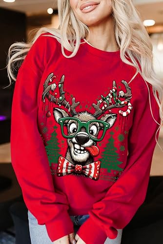 Funny Reindeer Christmas Sweatshirt Oversized Pullover K664011