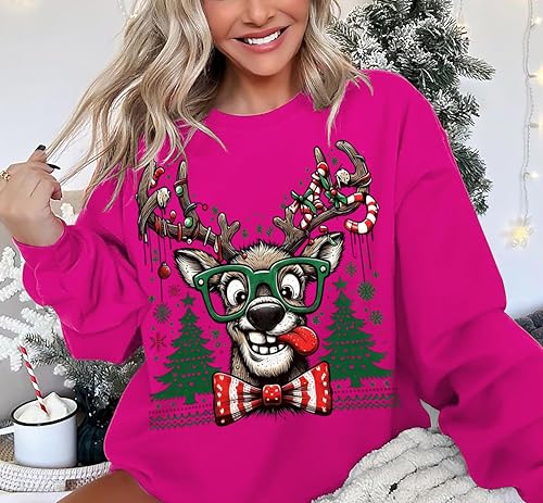 Funny Reindeer Christmas Sweatshirt Oversized Pullover K664011
