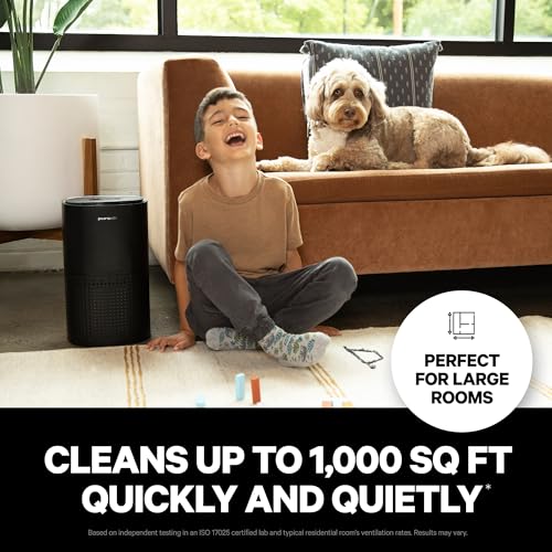 HEPA Air Purifier for Large Rooms, Quiet Air Filter for Bedroom L817