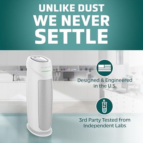 Air Purifier with HEPA Filter for Large Rooms, Removes Smoke, Pet Dander, Pollen, and Odors T1048