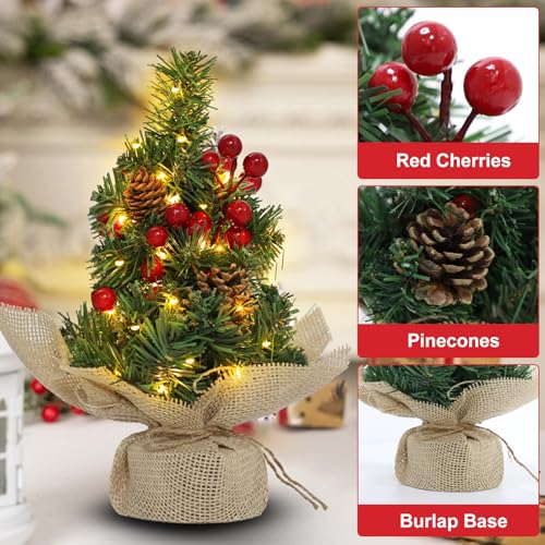 Mini Tabletop Christmas Tree with Timer Lights and Pinecones G5227