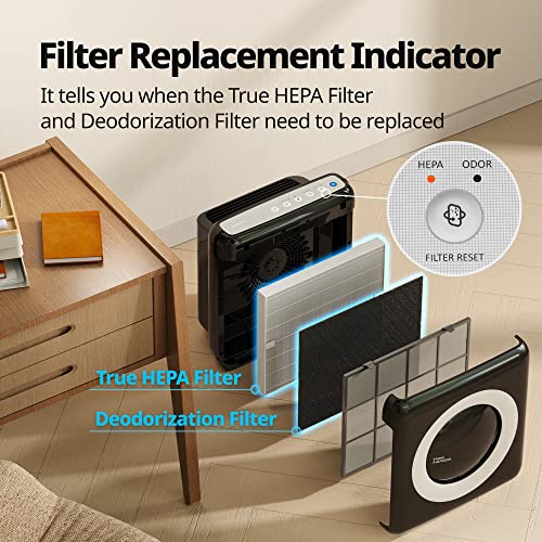 True HEPA Air Purifier with Air Quality Monitoring and Auto Mode R22121