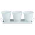 6 pcs Garden Flower Pot with 1pc Tray Succulents Utensil Holder