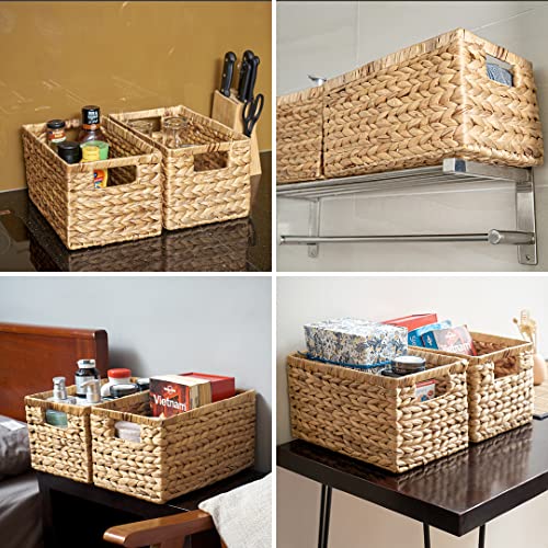 Natural Water Hyacinth Woven Storage Baskets with Handles, Set of 6 F62590