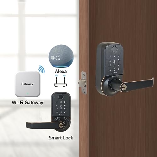 Smart Door Lock, Fingerprint, Touchscreen Keypad, Auto Locking M10181