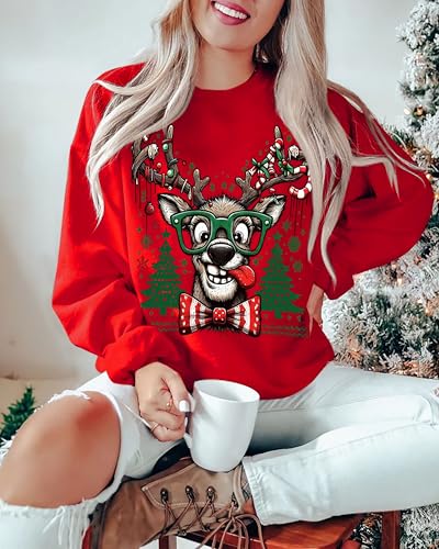 Funny Reindeer Christmas Sweatshirt Oversized Pullover K664011
