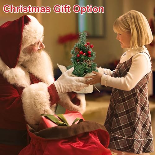 Mini Tabletop Christmas Tree with Timer Lights and Pinecones G5227
