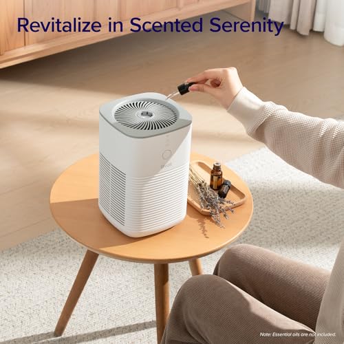 Air Purifier for Bedroom Home, 3-in-1 Filter Cleaner with Fragrance Sponge, Filters Smoke, Allergies, Pet Dander, Odor, Dust, Portable T545