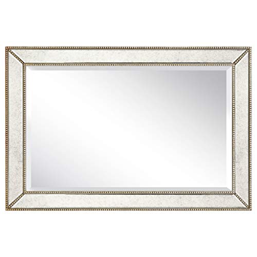 Antique Wall Mirror for Bathroom, Bedroom, Living Room, Ready to Hang, 24" x 54" D519