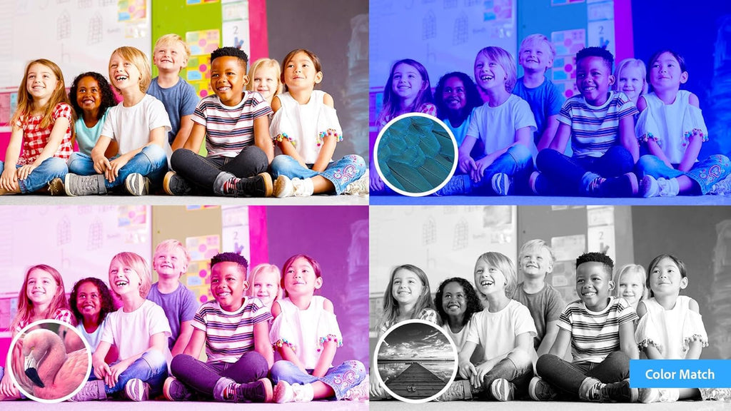 Photoshop Elements 2024 & Premiere Elements 2024 Student Teacher Edition Mac Download Q440307