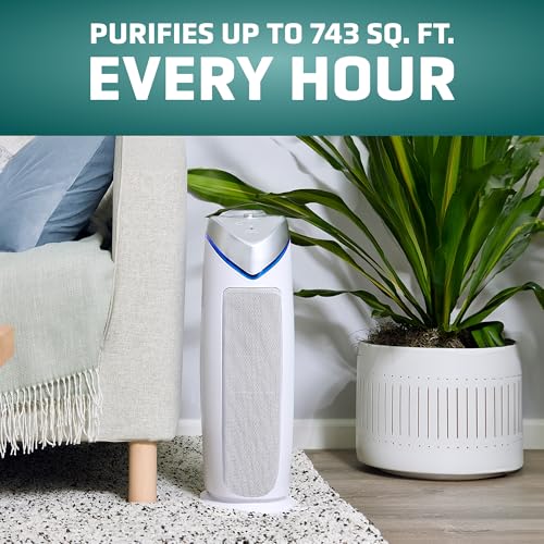 Air Purifier with HEPA Filter for Large Rooms, Removes Smoke, Pet Dander, Pollen, and Odors T1048