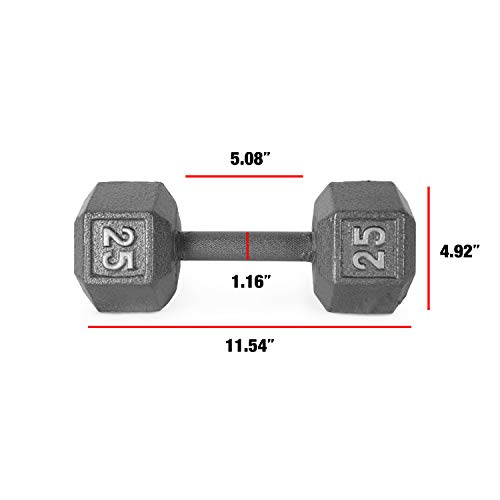 Hex Dumbbells Pair I2950