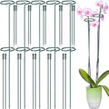 24 Pack Plant Support Stakes for Three Sizes(12 or 24 or 36 Inch) Metal Plant Support Sticks Support Stake Plant Stem for Flowers Amaryllis Tomato Lily Peony Rose Flower Narcissus(24 Inch)