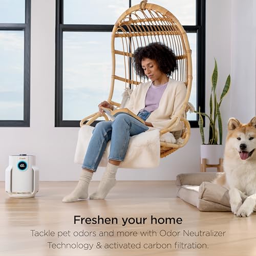 Air Purifier for Home Large Room, HEPA Filter, Covers 650 Sq. Ft, Removes Dust & Allergens P98966